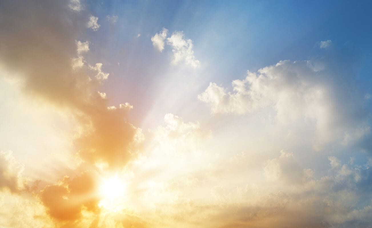 Friends of the Aiken County Public Library