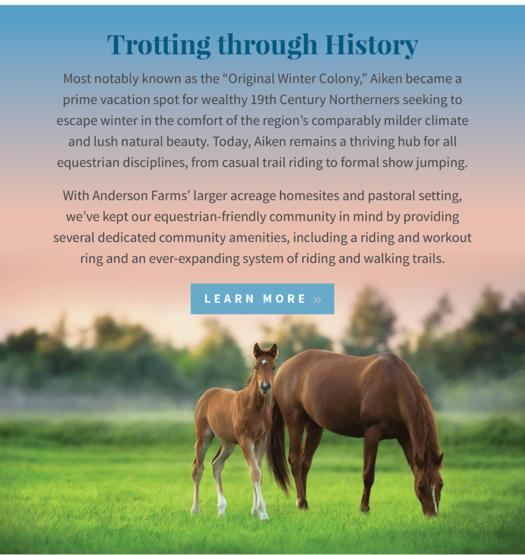 Friends of the Aiken County Public Library