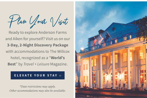 Friends of the Aiken County Public Library